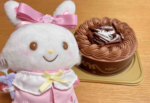 すてきな　チョコケーキ🍫✨　とっても　おいしかったよ♪