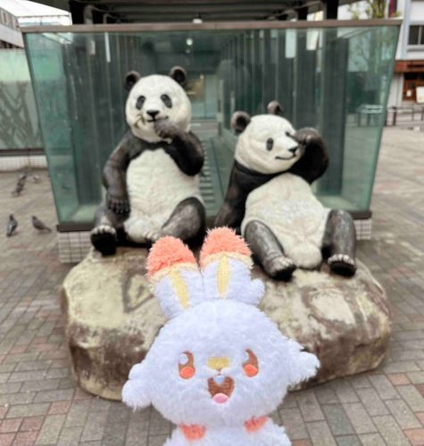 ひばば！🐼