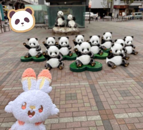 ひばばひーば！🐼🐼🐼