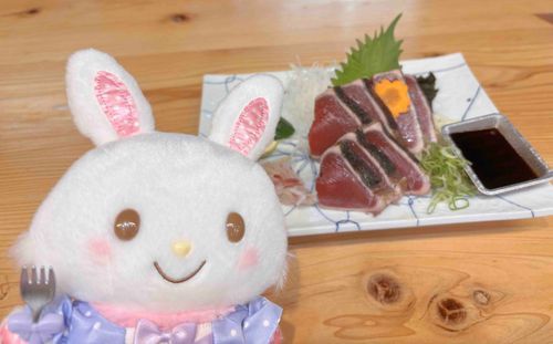 このカツオ、こじゃんとうまいぜよ〜！