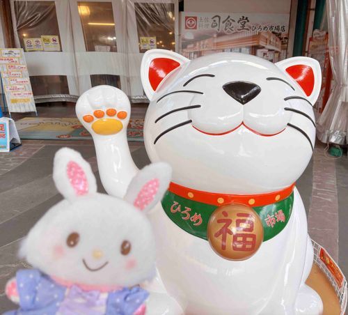 ひろめいちばの　ねこさん　こんにちは！