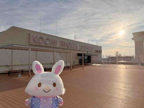 おはメル！　くうこうからみた　あさやけも　きれいだったよ♪
