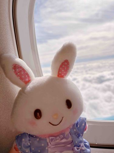 ふわふわなくも　さわってみたいなぁ…♪