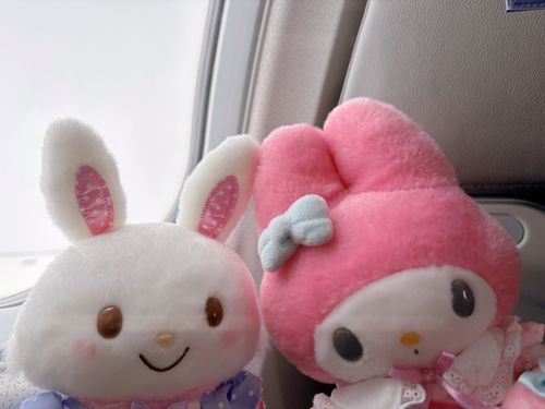 メロちゃんと　くものなかを　たびしたよ♪