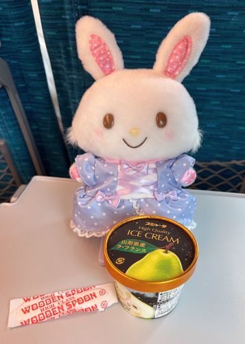 ｼﾝｶﾝｾﾝｽｺﾞｸｶﾀｲｱｲｽも　なつの　あつさで　すぐとけちゃった( *´⚪︎｀*)💦　でも　とっても　おいしかったよ！