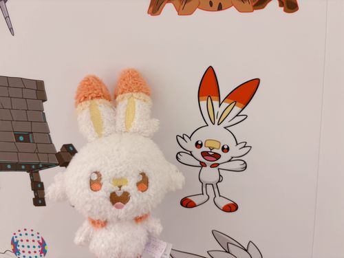 ひばにー！！🔥