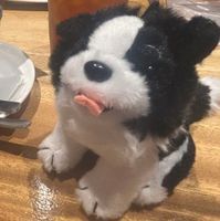 いろはっち
