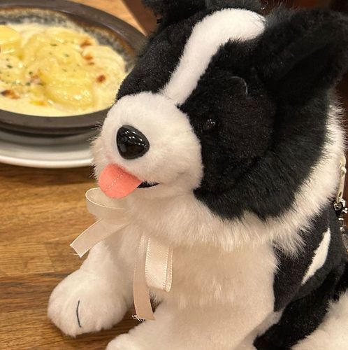 すみかの番犬
ライブに現れるよ！
たくさん行きたいよ！