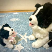 いろは&いろはっち