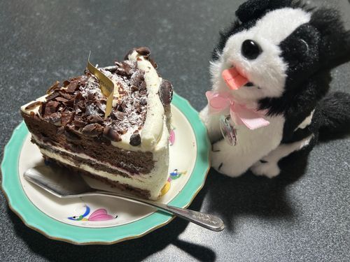 何でもない日でもケーキは食べたいよね！