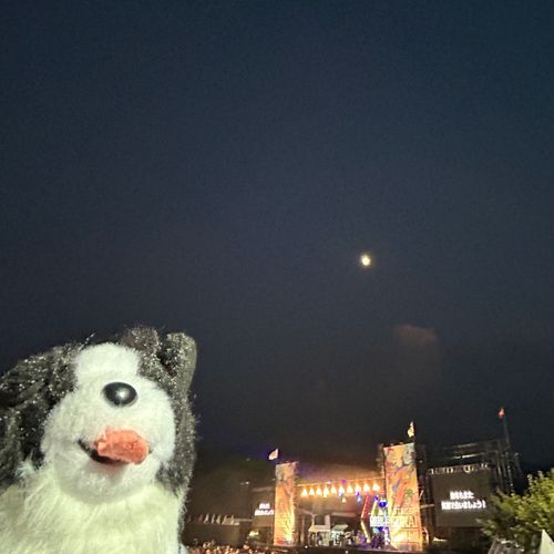 夏フェス！モンバス2days行ったよ
すごく暑くて楽しかった〜
また行きたいな