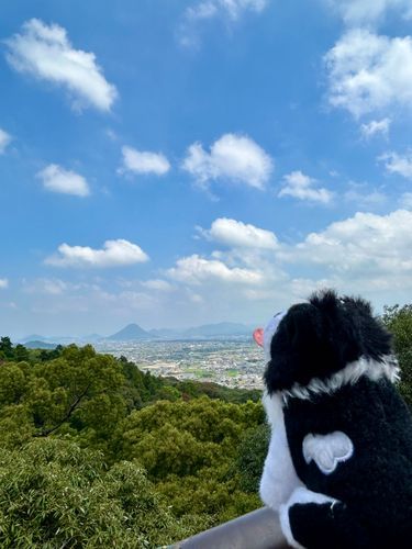 香川旅行の思い出#2
＂こんぴらさん＂に登ったよ！
見晴らしがすーごく良かった！
暑かったけど、風が気持ち良くて良かったな◎