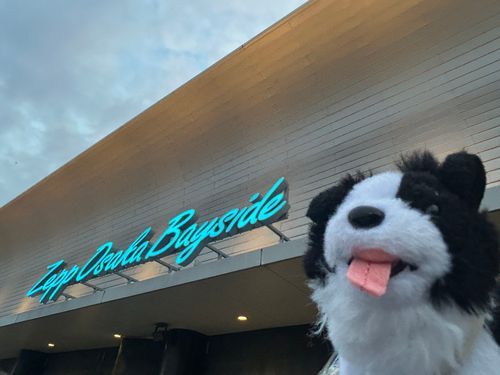 sumikaのライブツアーにGO
みんなかっこよかった！楽しかったね！