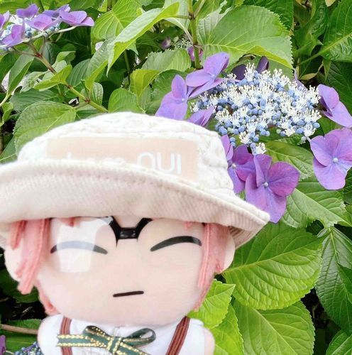 あじさいの　きせつですね