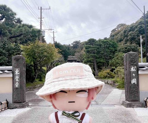 あきの　ことを　おさんぽです