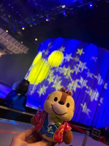 今日はディズニーオンアイスを2回見てきたよ！
1回目は2列目だったから結構キャラが近くに来てくれた！！