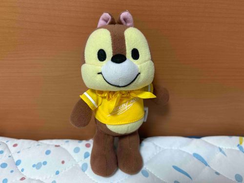 ディズニーザマーケットで買ったお洋服ピッタリだった！！
しかもデザインもミッキーのサインが入ってて良き！