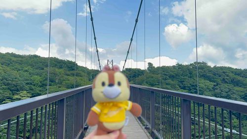 吊り橋たかーい！！
