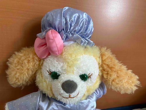 新しいお洋服！
ナイトキャップが帽子にぴったりでよき！！！
