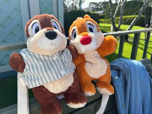 昨日はディズニーランドに行ってきました！
ハモカラとフレンジー、この2人は初めて見たんだよ〜
