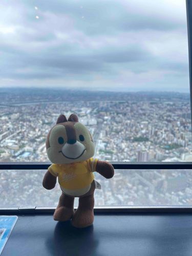 人生初の東京スカイツリー🐿
