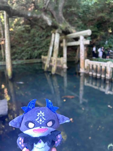 鹿島神宮の御手洗池
