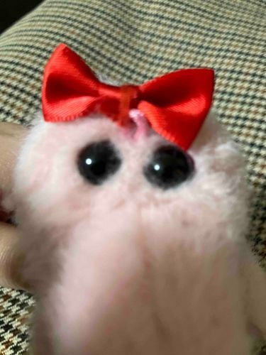 りぼん、赤い糸でぐるぐる巻きにしているのですが
綺麗な付け方をご教示いただけないでしょうか……🙏️😣️💦️