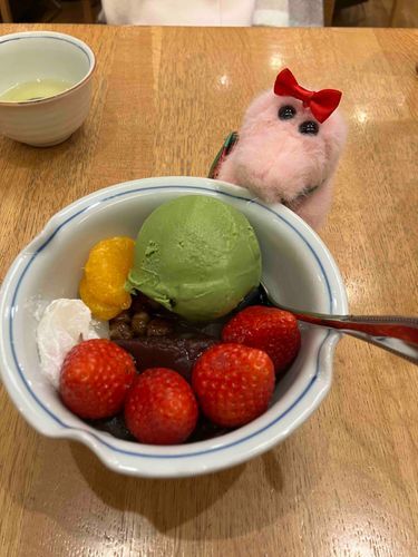 はじめてのあんみつにテンションがあがっているね