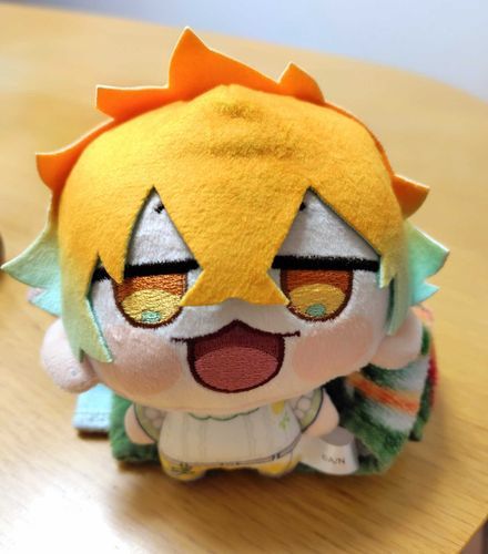 おうちにきたひ。頭が大きくて支えがないとひっくり返っちやわうかわいさ。
はやくてつまるさんが来るといいな