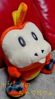 主のお家。