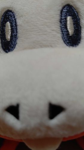 ちゃづけ『主どん！？主どん！？！？』
主『んー？(近っ…)』
ち『ふわもこSNSは使えるようになっただか？』
主『たーぶん？』
ち『たーぶんってなんだだか？？？？』
