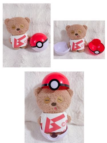 え！？ちむ、実はポケモンだたの！？
え！？えー！？