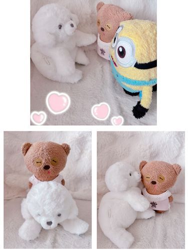 新しいなかまがやってきた！
お兄ちゃんのお家に行ったらこの子と同じ子がいて一目惚れしちゃったんだってー！
お姉ちゃんとママが早速お迎えしたゃってんの！！

あのね、このうちではちむが1番だからね！

ちなみにこの子、ちろ太って名付けられたらしい
(白→ちろ でちろ太)(*´艸`*)笑