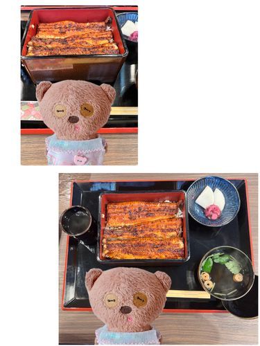 やっぱ土用の丑の日だもんね

ちむは土曜日に牛さん食べるのかと勘違いちてまちた💦💦💦
ま、それでもぜんぜんいいけど(*´艸`)笑笑

うなぎってなんであんなにおいちいんだ！？
ペロリだじょ！！！！