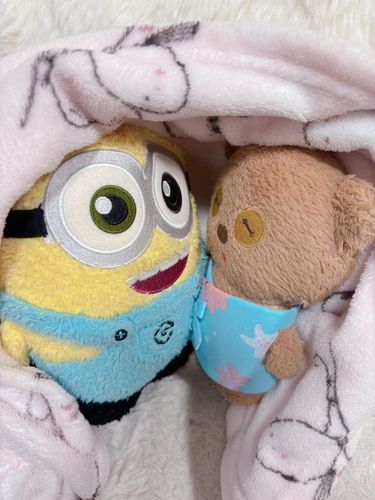 カミナリゴロゴロ⚡️こわいよぉー！

ってボブちんに言ったら、ボブちんも怖いーって💦
2人まとめてママがこのまま抱っこ(毛布ごと)してくれたんだ💕