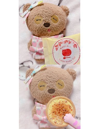 お兄ちゃんが 買っきてくれたお菓子

ママは食べられないから(ダイエットちう💦)ちむが代わりに食べてあげるんだじょ！
やっぱりお菓子はちむに似合うもんな🎶✨‪💕︎︎ふふふ(*´艸`)