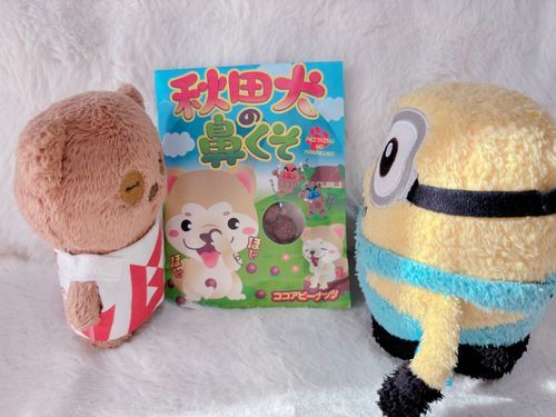 ボブちん🎶先に食べてみてよ