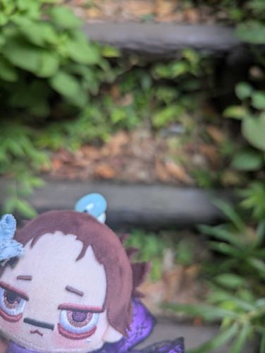 はあ、はあ、つかれたつぴ森にきて、
まったし、、、