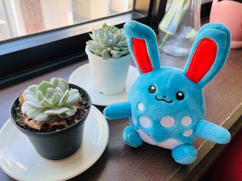 最近は植物ざんまいしたりしているよ