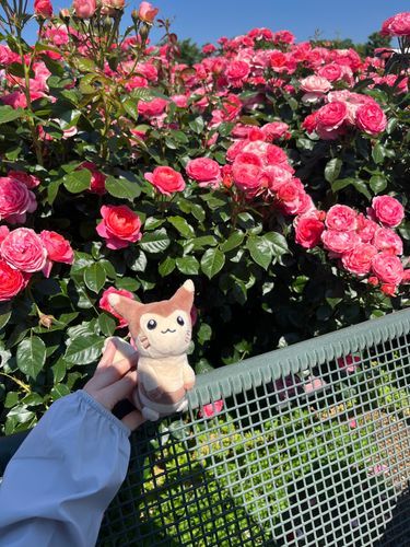 ばらざんまい