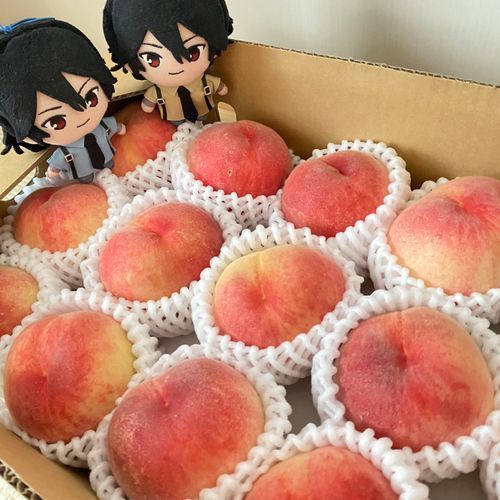 🦇桃🍑の直売に行ってきたのじゃ♪
🦇🦇3時間半🚗💨かけて行って4時間並んで3時間半🚗💨かけて帰って来たのじゃ！
🦇嬢ちゃんとってもお疲れの様じゃ💦
🦇🦇ゆっくり休むのじゃ！

🍑👀ｼﾞｰ

👩後で剥いてあげるから先に寝させて…💤