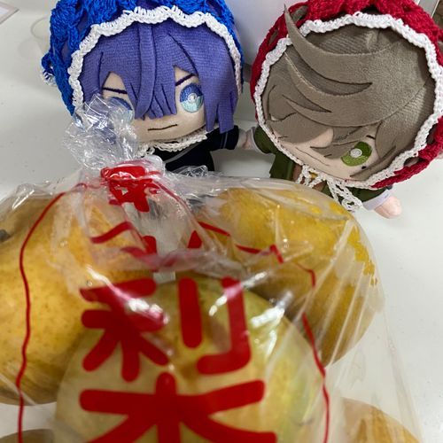 ☯️梨の直売に行って来たぞ！