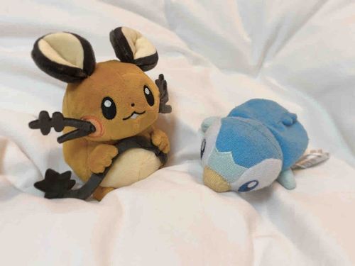 とれーなーの　おかんの　あいぼう　ででちゃんだよ