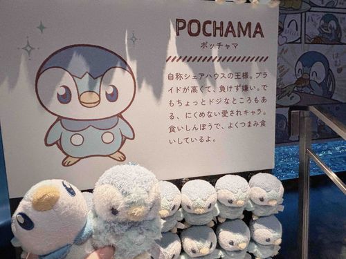 ぴーすくんと　いっしょに　いってきたよ
てんきは　いまいちだった……