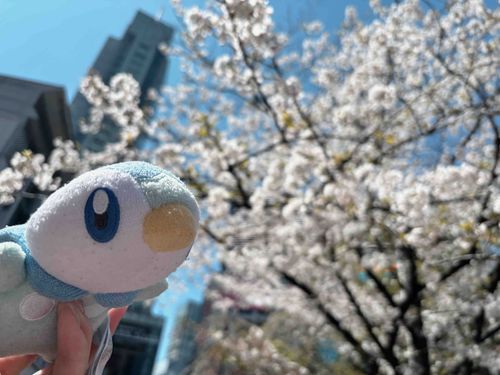 おはなみの　じかんは　ないから　これで