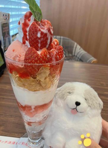 わんちゃんよりもおおきいパフェだー！