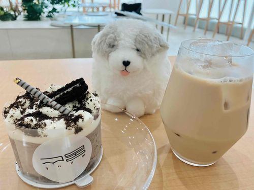 きょうで　ごしゅじんとであって　はんとし　たったよ！
ごしゅじんが　ケーキでおいわい　してくれた！