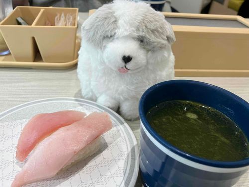 ごしゅじんが、おいしそうなおすし　たべてたの！
いいなー！いいなー！