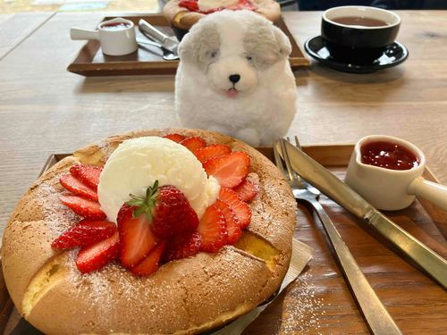 おいしそうなぱんけーきだ〜！！