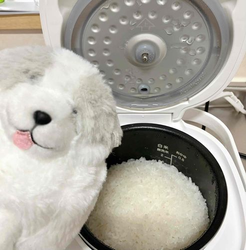 ふっくらおこめと、ふっくらわんちゃん！